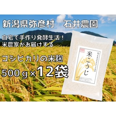 
            ＜乾燥米こうじ 500g×12袋＞新潟県弥彦村 石井農園 新潟県認証特別栽培米 コシヒカリ使用【1637012】
          