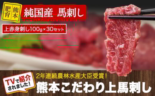 上赤身馬刺し100g×30セット(10ml×30袋)《7月中旬-9月末頃出荷》 熊本県 苓北町 馬刺し 国産 赤身 送料無料 肉 タレ付き 3000g 牛肉よりヘルシー