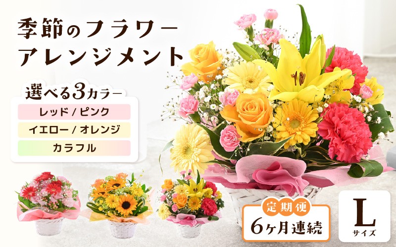 
            定期便 ≪6ヶ月連続お届け≫ 選べるカラー 季節のフラワーアレンジメント L 【カラー：レッド・ピンク / イエロー・オレンジ / カラフル】 【お花 フラワー アレジメント 花束 ギフト 生花 プレゼント 花束 花 記念日 敬老の日 お祝い】 [J-20701] 
          