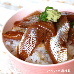 【兵庫県新温泉町】自家製「山陰の海鮮漬け丼10食」セット　【配送不可地域：離島】【1100214】