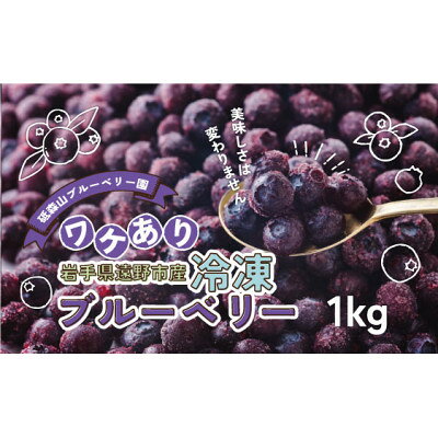 【ふるさと納税】訳あり 冷凍 ブルーベリー 1kg 岩手県遠野市 遠野食工房蔵【配送不可地域：離島】【1583536】