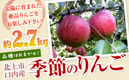 季節のりんご 約2.7kg（8～10個）品種おまかせ  産直 あぐり夢くちない 岩手県 北上市 B0417