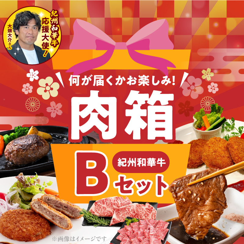 BN6136_お楽しみ肉箱 Bセット
