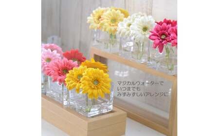 【ホットピンク】 マジカルウォーター ｢ ガーベラ スクエア ｣