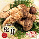 【ふるさと納税】【訳あり】数量限定/信州産「天然松茸」（約200g/9本以上）　 駒ヶ根市 　お届け：2024年9月中旬～10月下旬