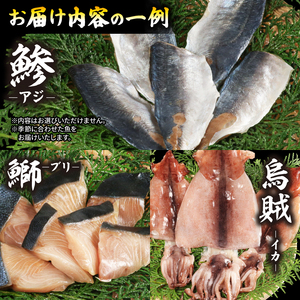 【干物】 未来干物 おまかせ3種セット 合計6パック ひもの ひもの