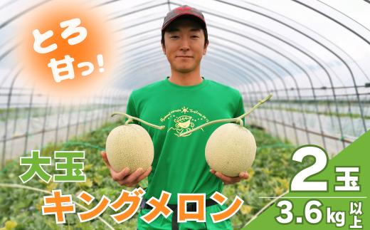 【大玉】とろける舌触り！東山農場産キングメロン 2玉　G028