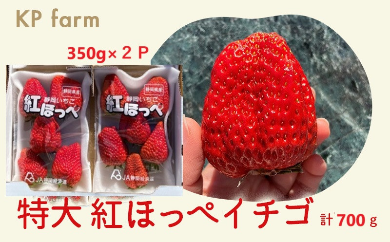 
２０００　いちご 特大・紅ほっぺイチゴ350ｇ×2ｐ　計700ｇ KP ファーム
