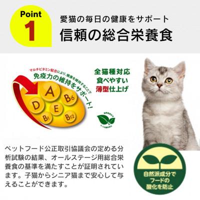 ふるさと納税 久留米市 A Pro 味わいハーモニー まぐろとかつお味 2kg×6袋セット(久留米市) |  | 01