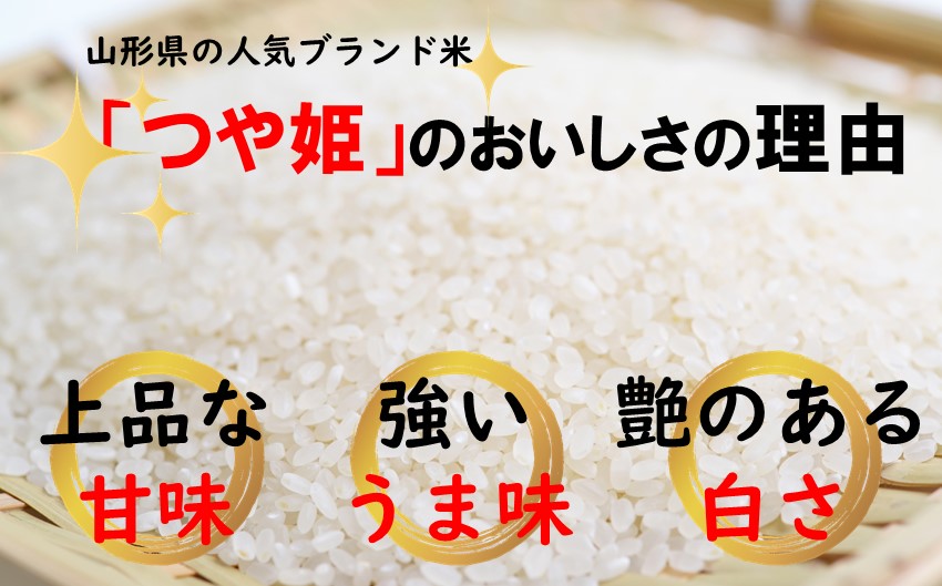 生産者の顔が見える米　つや姫　白米10kg（飯豊町産）【新米予約】
