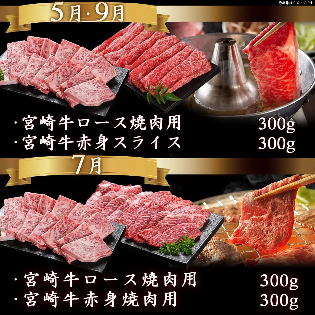 宮崎牛定期便(10ヶ月)〔T120（10）-0103〕_(都城市) 宮崎牛 A5 10ヶ月定期便 赤身 バラ ロース スライス 焼肉用 切り落とし サーロインステーキ