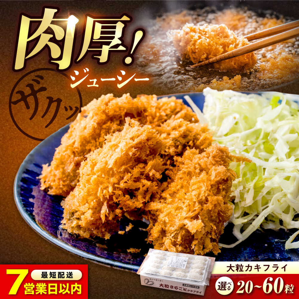 【ふるさと納税】【スピード発送】【選べる容量】冷凍 大粒 カキフライ 20粒〜60粒 広島県産 冷凍カキフライ 広島牡蠣 牡蠣 かき カキ 料理 簡単 魚介類 海鮮 ギフト おすすめ 人気 揚げるだけ 簡単調理 おかず 惣菜 15000円 広島県福山市/クニヒロ株式会社[BACG001]