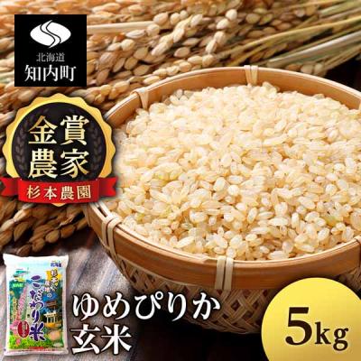 ふるさと納税 知内町 【令和7年産】ゆめぴりか 玄米 5kg 《杉本農園》