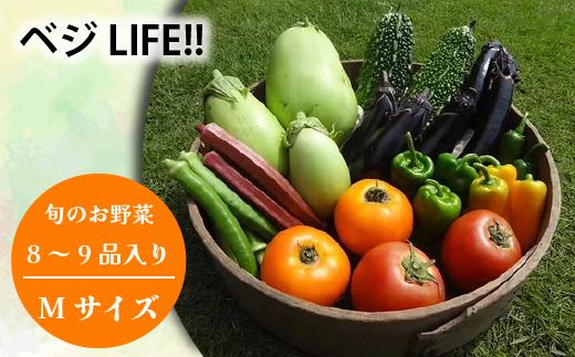 
新鮮 旬の野菜セットMサイズ (約8~9品)
