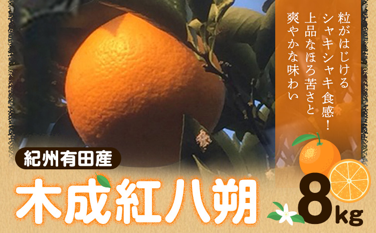 【先行予約】紀州和歌山産 木成紅八朔 8kg 株式会社魚鶴《2026年2月末-4月上旬頃出荷》和歌山県 日高町 紀州和歌山産 木成紅八朔 はっさく ハッサク 八朔 紅八朔 柑橘 果物 フルーツ