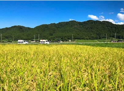 特別栽培米ミルキープリンセス玄米10kg / いただきます / 富山県 朝日町 [34310014]