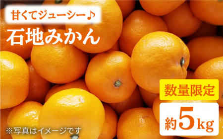 【数量限定】【甘くてジューシー♪】石地みかん 約5kg＜中尾果樹園＞ [CEL002]