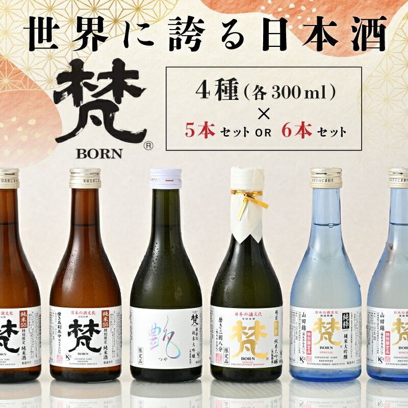 【ふるさと納税】世界に誇る日本酒！梵4種セット [B-02605] / 梵 日本酒 飲み比べ 純米大吟醸 吟醸酒 地酒 ギフト 贈り物 プレゼント 酒好き 家飲み 福井県鯖江市
