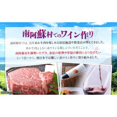 ふるさと納税 南阿蘇村 赤 ワイン RED cow 1本 750ml《30日以内に出荷予定(土日祝除く)》