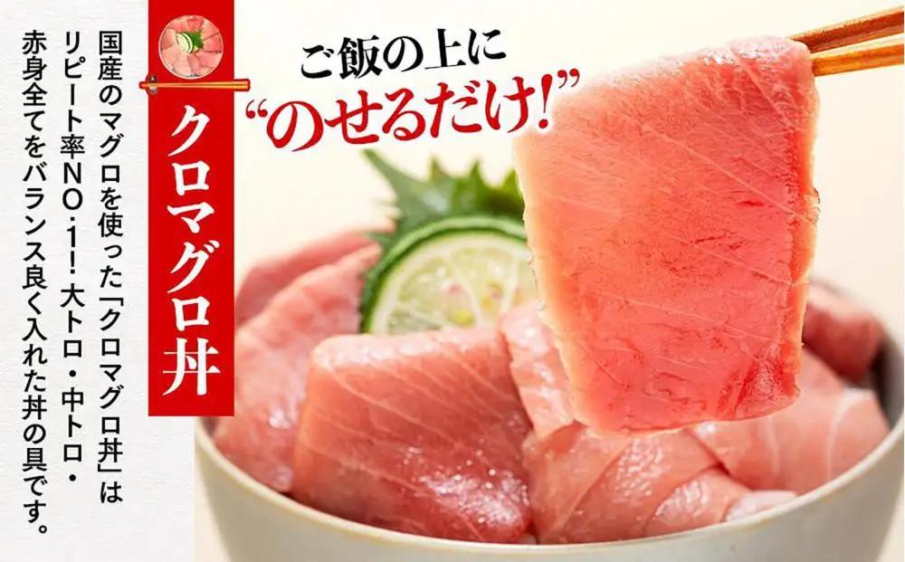 福岡市グルメ糸島海鮮堂の黒まぐろ食べ比べ4食セット | 福岡県 福岡市 福岡 九州 返礼品 お取り寄せグルメ 取り寄せ グルメ 食品 お取り寄せ 魚介類 魚介 海産物 海の幸 まぐろ マグロ 食べ比べ