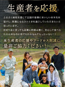 先行予約 訳あり 令和8年産 こしひかり 白米 10kg 令和8年10月下旬より順次発送予定 天龍村 農家さん応援米！