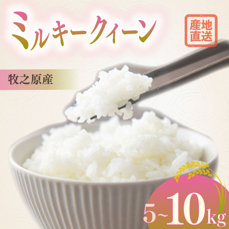 【ふるさと納税】選べる 容量 ミルキークイーン 5kg ～ 10kg お米 米 白米 おこめ こめ 精米 ご飯ごはん おいしい 国産 ごはん ご飯 お米 5kg 米 贈答 おすすめ お弁当 おむすび おにぎり 食品 お弁当 ふるさと納税 送料無料 産地直送 農家直送 静岡県 牧之原 大塚ファーム
