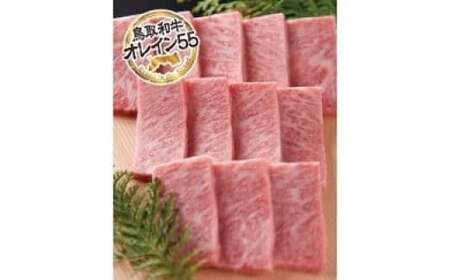 最上級Ａ５ランクオレイン５５　極上カルピ　焼肉用（大）約500ｇ　肉 牛肉 和牛 鳥取和牛 国産 焼肉カルビ肉 牛肉 和牛 鳥取和牛 国産 焼肉カルビ肉 牛肉 和牛 鳥取和牛 国産 焼肉カルビ