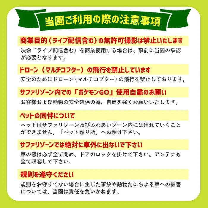 アフリカンサファリ入園券とオリジナルクリアファイルのセット(入園券(大人2枚・小人4枚)とクリアファイル)チケット 動物園 サファリパーク形動物園 家族旅行 デート 観光【110601700】【九州ア