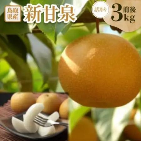 訳あり　新甘泉(しんかんせん)　3kg前後【配送不可地域：離島・北海道・沖縄県】【1733720】