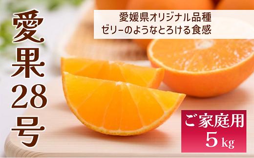 
            愛果28号 バラ詰め 5kg 先行予約 12月以降順次発送予定 愛媛 数量限定 愛媛県産 人気 柑橘 伊予市｜C57
          