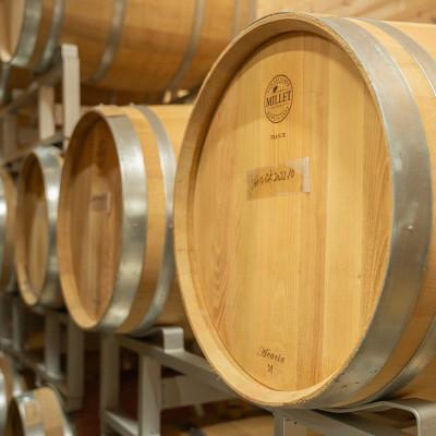 ふるさと納税 北栄町 辛口赤ワイン『富士の夢2016郷』【化粧箱入り】 |  | 01