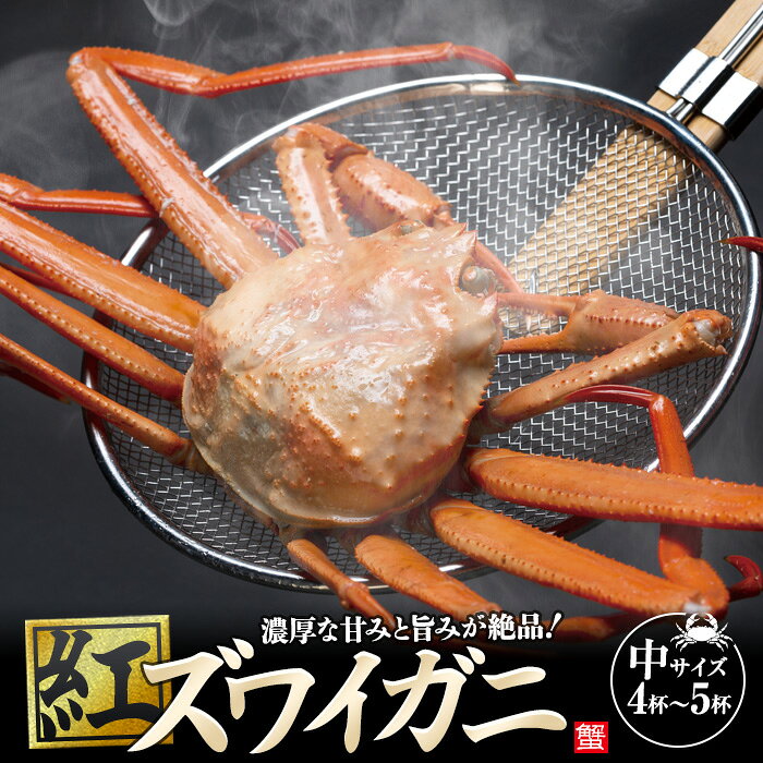 【ふるさと納税】紅ズワイガ二・中サイズ 4-5杯 | 石川県 能登町 ふるさと 納税 支援 支援品 返礼 お土産 取り寄せ お取り寄せ グルメ お取り寄せグルメ ご当地 ご当地グルメ 魚介類 魚介 新鮮 海鮮 ズワイガニ 蟹 かに カニ 特産品 名産 特産 名産品