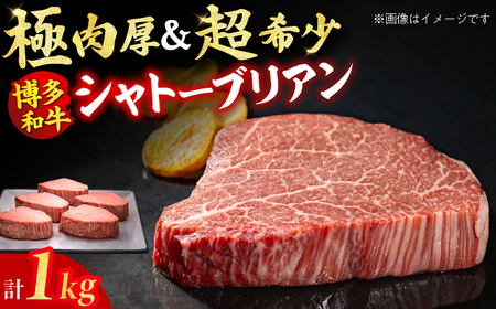 【ダイヤモンドカットで希少部位を堪能！】博多和牛 ヒレ シャトーブリアン 200g×5枚 牛肉 ステーキ お歳暮 お中元 贈答用 シャトーブリアン ヒレ ヒレステーキ 赤身 父の日 母の日 敬老の日 広川町 / 久田精肉店株式会社 [AFBV028]