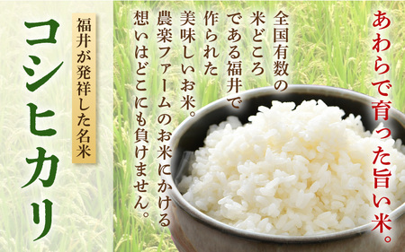 【令和5年産】いっちょらい 精米 10kg×1袋 ／ 福井県産 ブランド米 コシヒカリ ご飯 白米 新鮮 大賞 受賞  新米