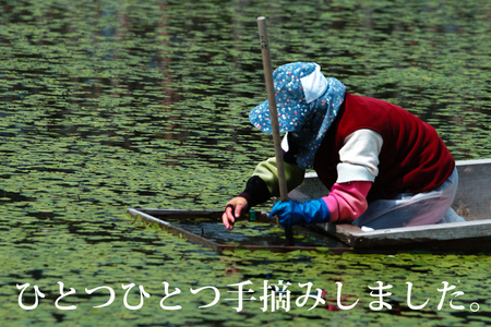 上級じゅんさい水煮瓶詰め 2本