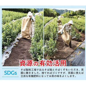 【先行予約 2026年5月11日以降順次発送予定】 2026年度産 新茶 茶葉 100g × 4袋 オーガニック オーガニック茶