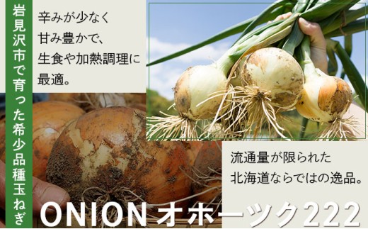 【順次配送】畑から直送の新鮮野菜！玉ねぎ（オホーツク222）10kg｜タマネギ たまねぎ 玉葱 北海道 岩見沢市【a168-005-0】 【順次発送】10kg