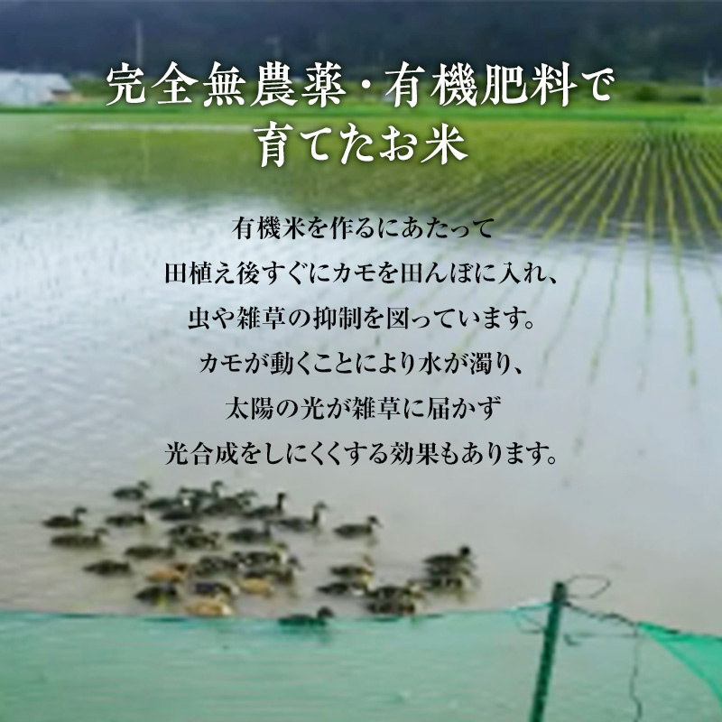 《定期便3ヶ月》【玄米】JAS有機米 きみまちこまち 4kg （2kg×2袋）秋田県産 あきたこまち 令和6年産