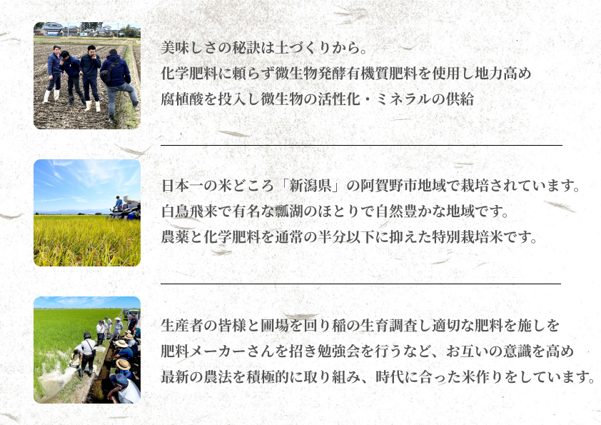  【令和7年産】6ヶ月定期便 特別栽培米 新之助 6kg (2kg×3袋)×6回 米杜氏 壱成 白米 精米 大粒 つや 光沢 弾力 芳醇 1H24133