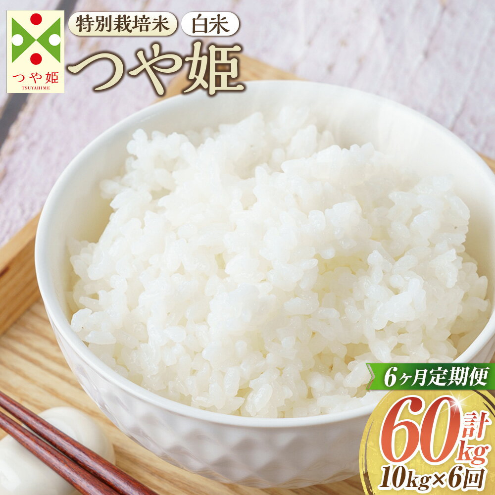 【ふるさと納税】【6ヶ月定期便】【令和7年産新米】〈白米〉 つや姫 10kg×6回 合計60kg （特別栽培米） 山形県産 しらたかのお米 【2025年11月上旬発送開始予定】
