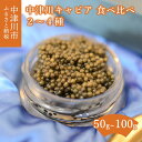 【ふるさと納税】中津川 キャビア 食べ比べ セット (2種 50g / 3種 75g / 4種 100g) S Caviar Labo 送料無料 岐阜県 中津川市 F4N-1211var