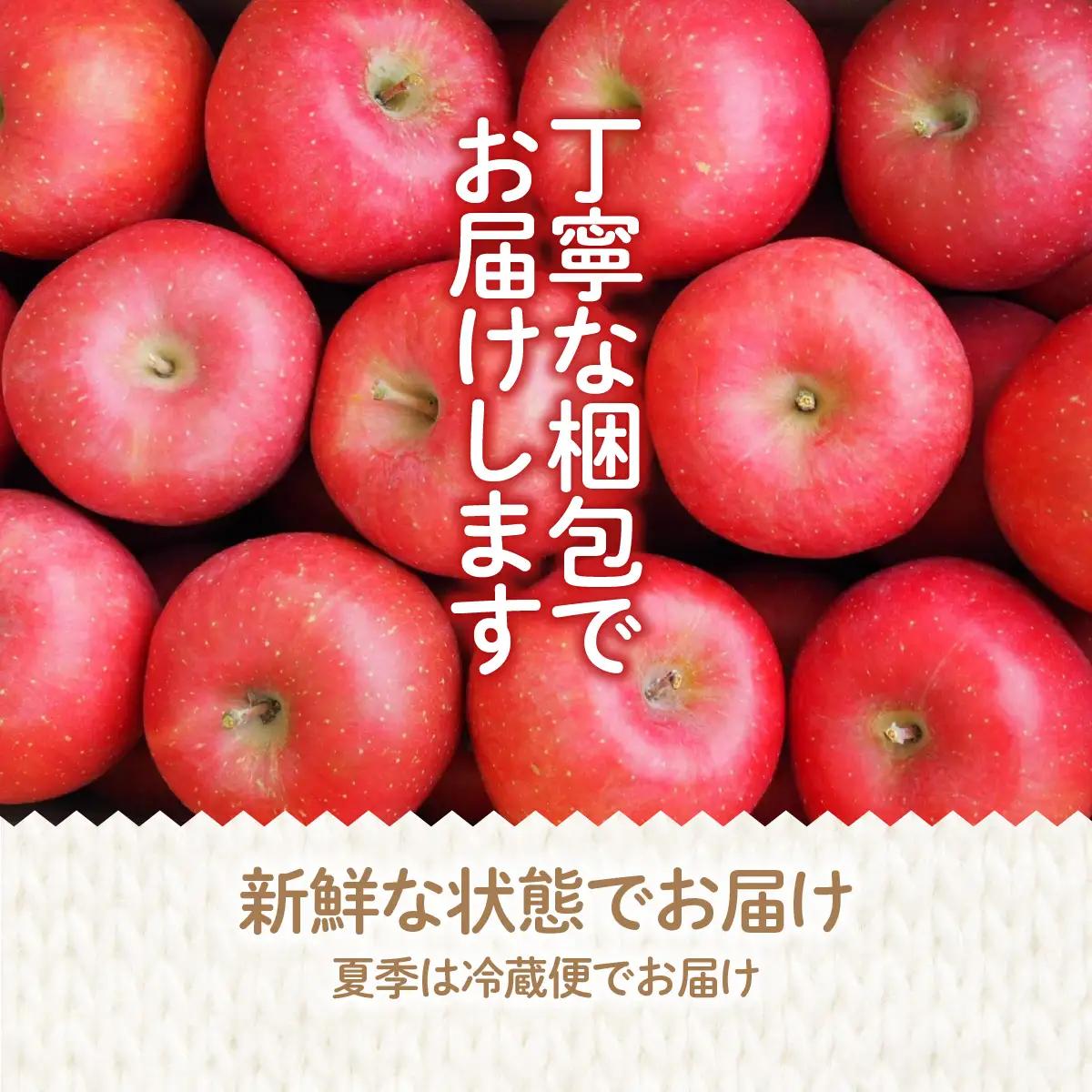【先行予約】令和8年8月下旬頃より発送 北海道七飯町産 りんご 5kg 有機質肥料使用 NAR002