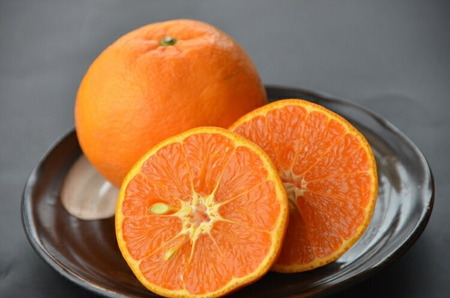 カラマンダリン 約2.8kg/サイズおまかせ　※2026年4月上旬～2026年5月上旬頃に順次発送予定(お届け日指定不可)　紀伊国屋文左衛門本舗【ntb471B】