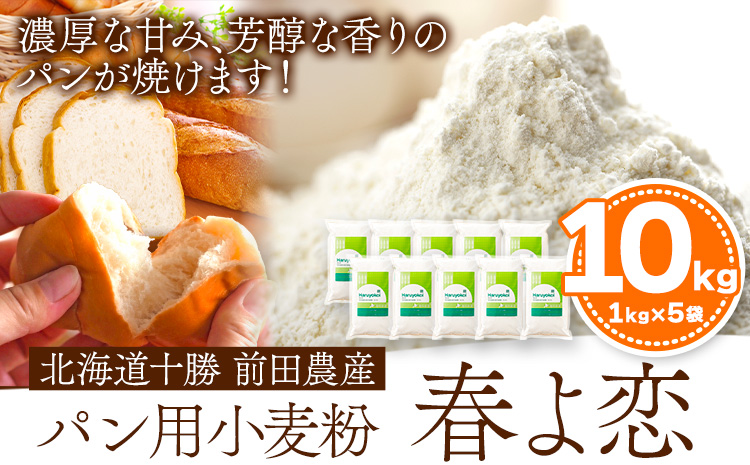北海道十勝前田農産パン用小麦粉「春よ恋」1kg×10袋 計10袋 有限会社 十勝太陽ファーム 送料無料 北海道 本別町《60日以内に順次出荷(土日祝除く)》北海道 本別町 パン 小麦粉 小麦 10kg 送料無料