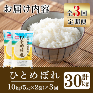 【令和8年産】＜3か月定期便＞特別栽培米 ひとめぼれ 10kg×3回(合計30kg) お米 おこめ 米 コメ 白米 ご飯 ごはん おにぎり お弁当 頒布会【農事組合法人若木の里】ta540