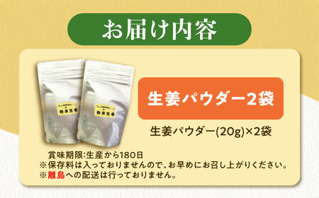 生姜パウダー 2袋  調味料 しょうが 愛西市 / しょうがやさん 【配達不可：離島】[AEAO008]