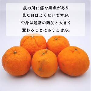【先行予約】【愛南産ポンカン】冬の柑橘ポンカン 5kg