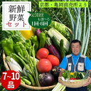 【ふるさと納税】新鮮 旬の野菜セット 7～10品目 1回 6回 定期便 京都 佐伯の里 京都丹波・亀岡産 季節の野菜詰め合わせ 朝採れ 直送 訳あり 家計応援 生活応援 定期便も選べる ※北海道・沖縄・離島への配送不可