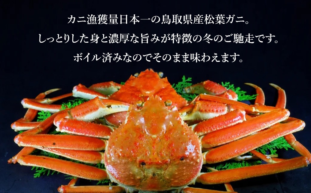 ボイル松葉ガニ（400ｇ～500ｇを２枚）