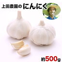 【ふるさと納税】『上田農園』のにんにく約500g 熊本県玉名郡玉東町『上田農園』にんにく《7月上旬-9月中旬頃出荷》